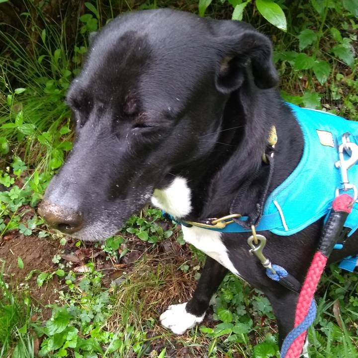 00e938b4 2d93 4cf5 ad2a 73b4fa5c504f 1621469471444