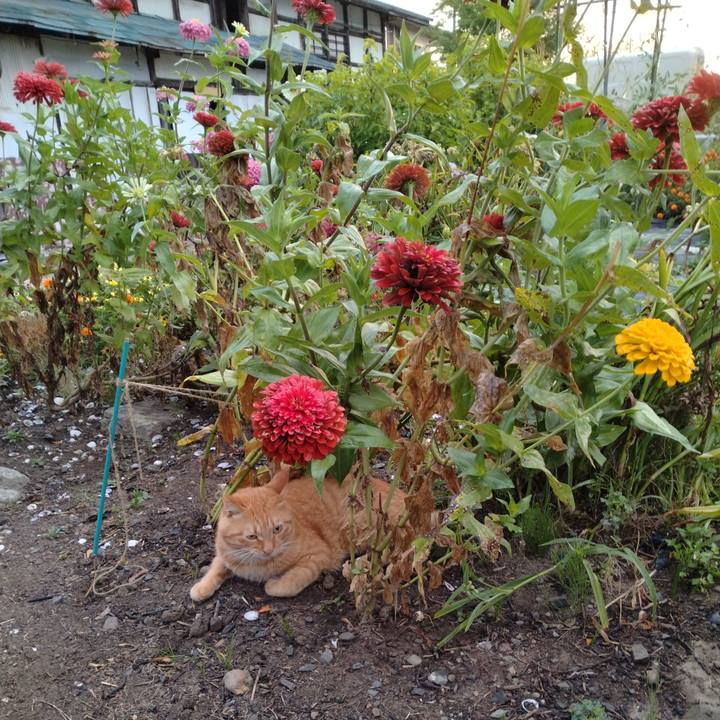 00e9423e a6b8 4c3d b9da 9bbd9506c1af 1693862717248