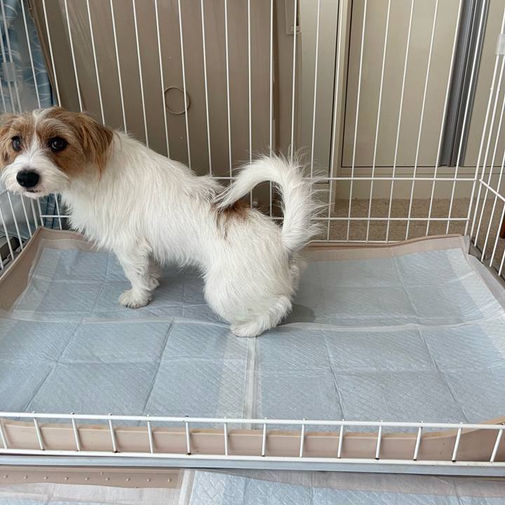 00e94e51 52dd 43eb afb3 b178c9db77ee 1758099359283