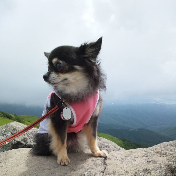 00e981f4 9241 47fc 9719 aeb3528b134a 1537100780474