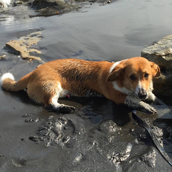 00e98330 0add 4f47 addb caf9b028ca3d 1601302119889