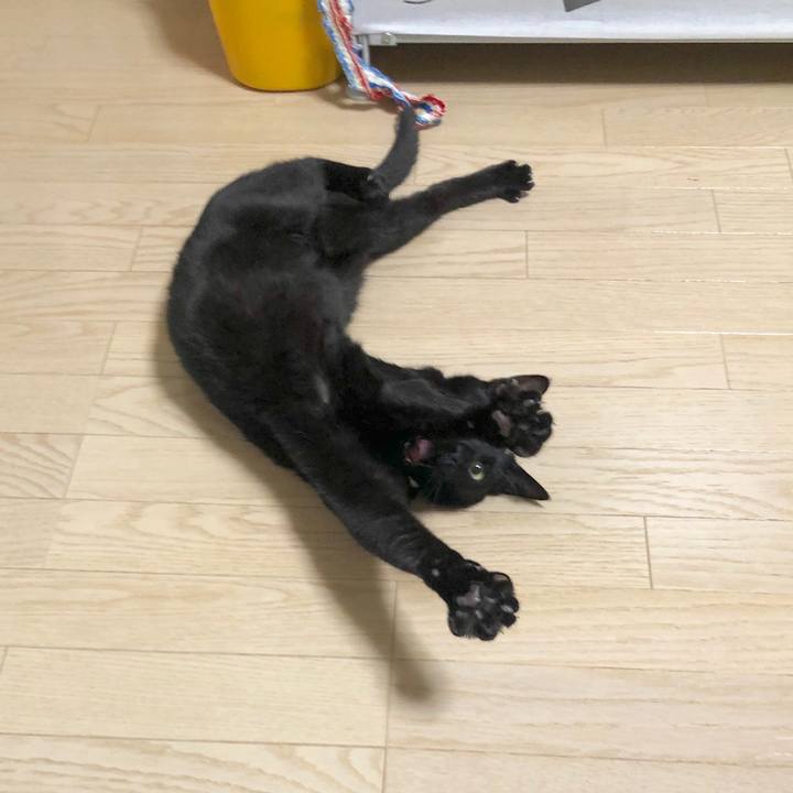 00e996d5 b674 4267 aafd f24d6b594c54 1587700258441