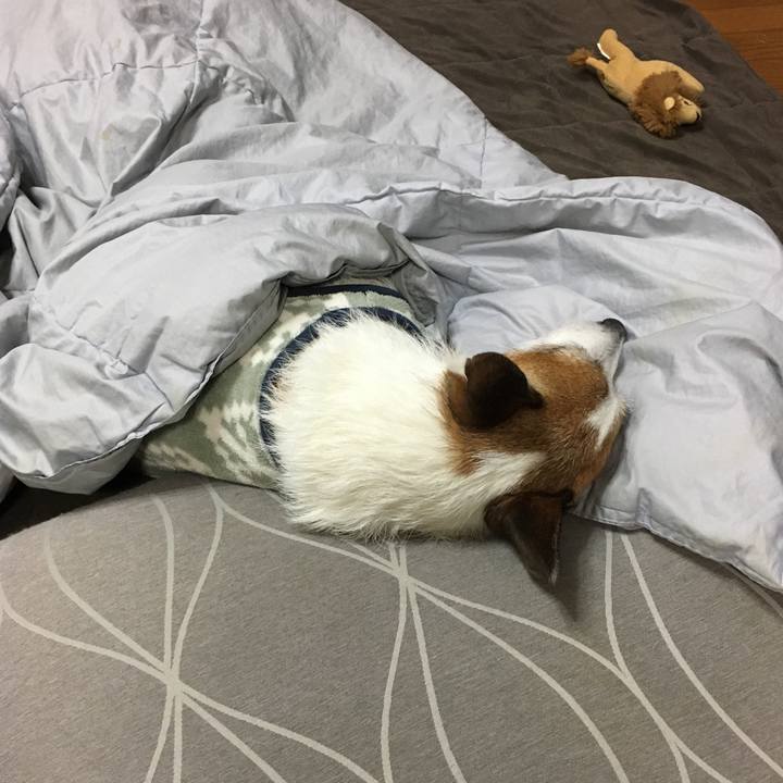 00e9b6bc 7bf9 4ad0 92eb 6997202ddc2c 1646781728138