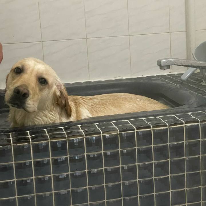 00e9c7ba 58c6 4ead 8a90 aed84c3a9546 1711240775811