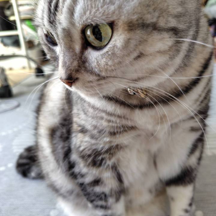 00e9d606 a649 4a9b b2c0 22979413f1b7 1760398688918