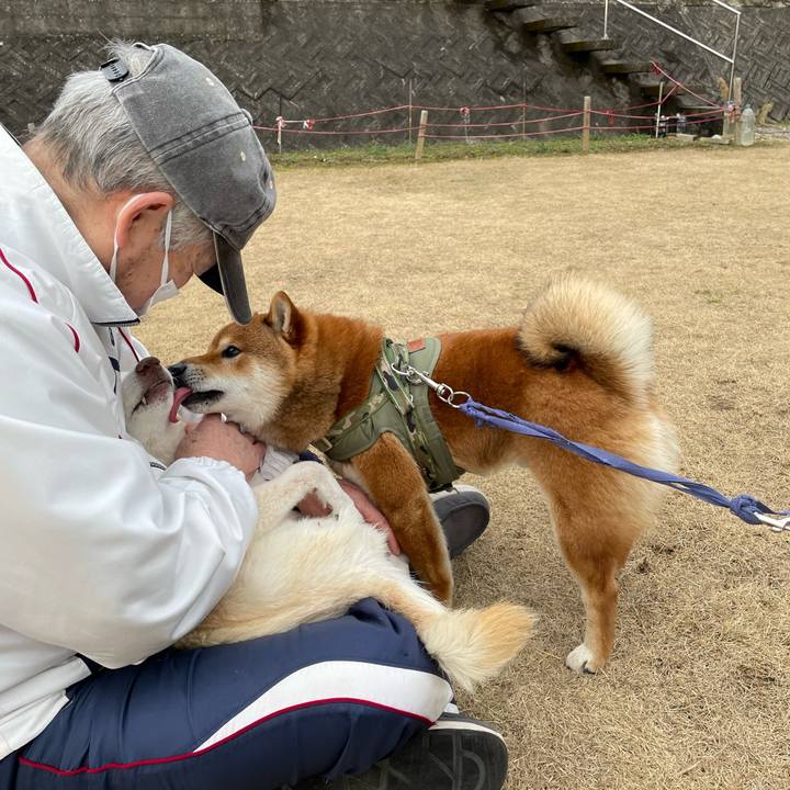 00ea0a56 f4b9 4b99 b69e 3d4649c3258c 1677154329014