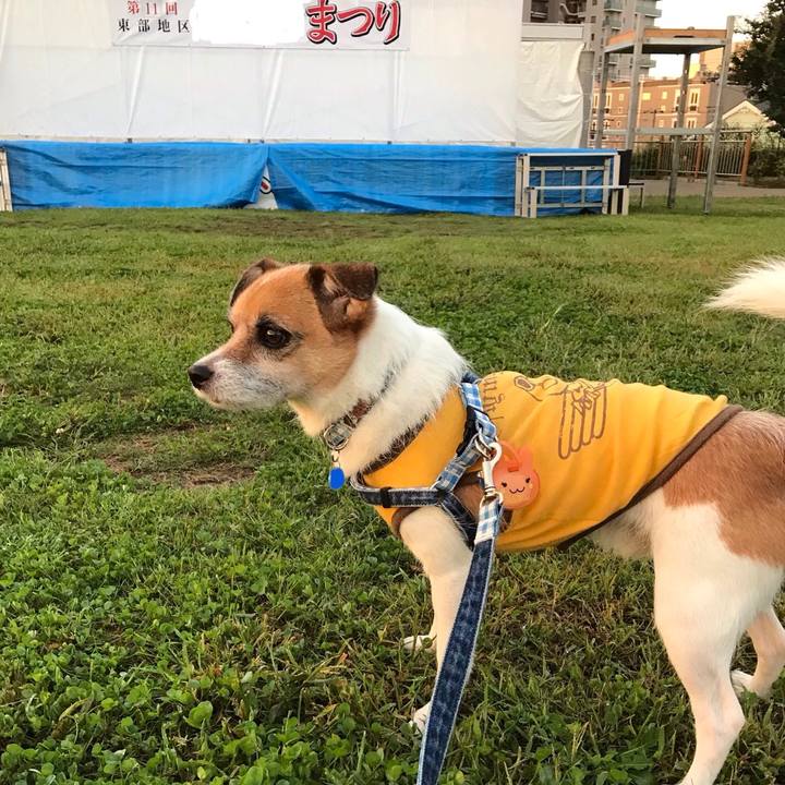 00ea1fda 907a 4e04 8314 ffcb5bcbe3f6 1538180592834