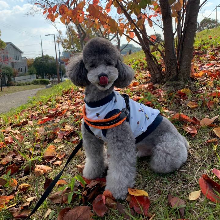 00ea2e6d 5a6e 4501 b549 4bb1a789d4de 1763471183936