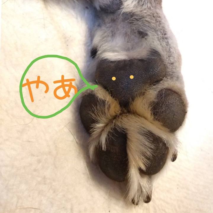 00ea45ac f060 42be b18d 493931f49a85 1574912812296