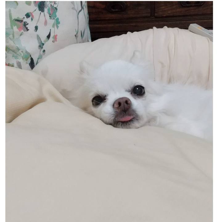 00ea50bc 51fb 43a3 9ccf abb410209183 1681216249662