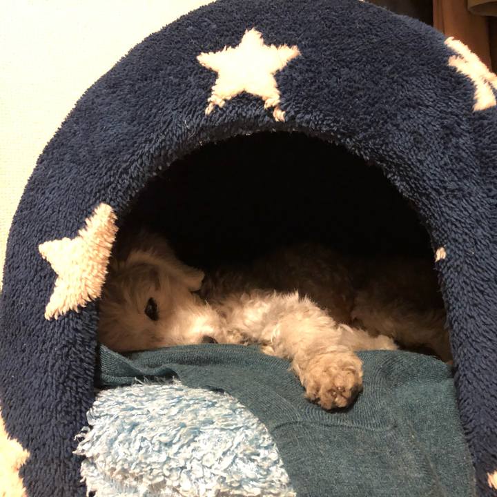 00ea5d6f c8f6 477c 99ac f888c53bc1f7 1606052912532