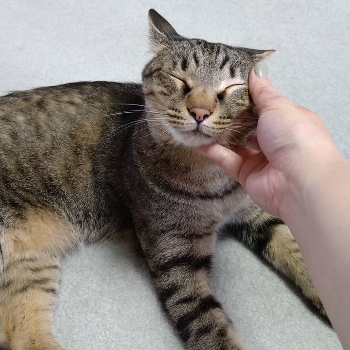 00ea5da7 ba57 43fe b5ef 237dda1b6450 1623930328775