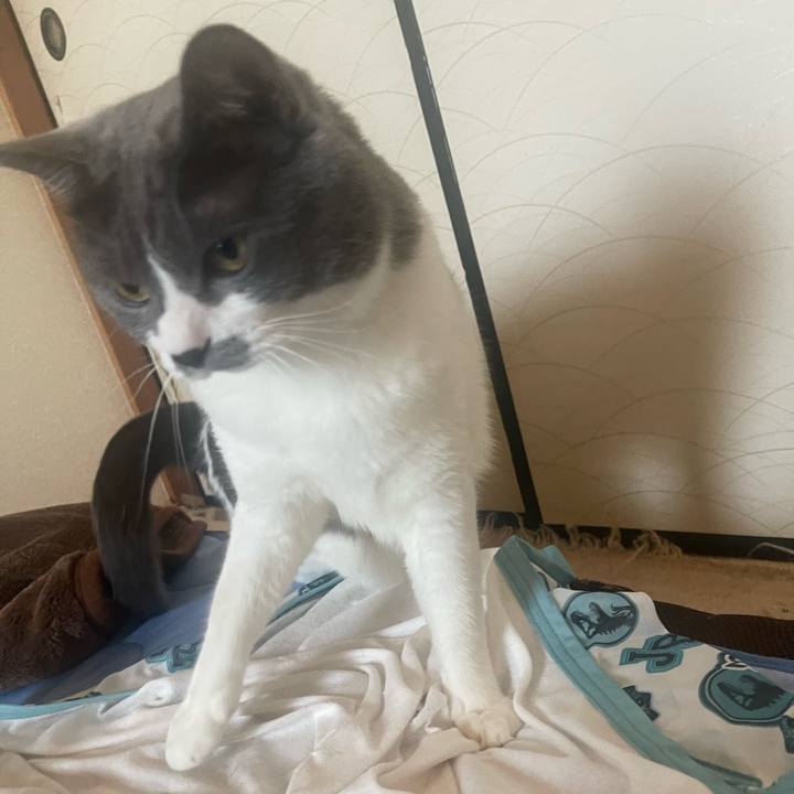 00ea76c7 1809 438c a9fb 5eeb1849853c 1691800043151