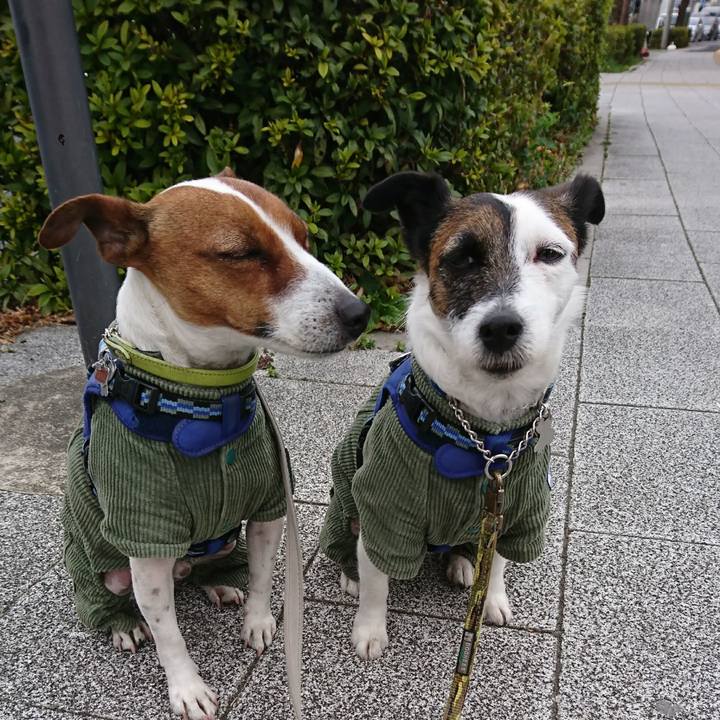 00ea886e a4bc 4c24 8191 76b0fa8d87b5 1614297317197