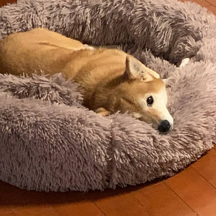 00eabcf8 208c 442e 9c43 a0c6899d5dbd 1611758055016