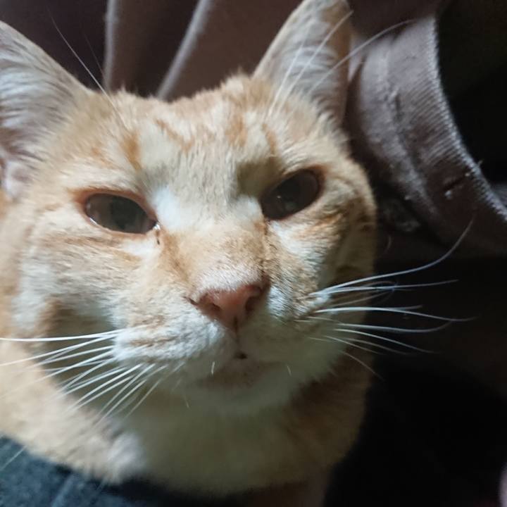 00eabe91 eca8 4294 b985 f8f72286a036 1588018572364