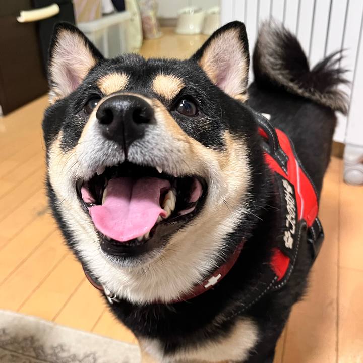 00ead76b 712c 41b8 8a8e 57f9c83281c6 1736763682999