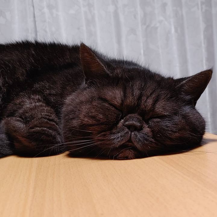 00eaf21a e3d9 4087 a1fd 6292587d8fa9 1636631422744