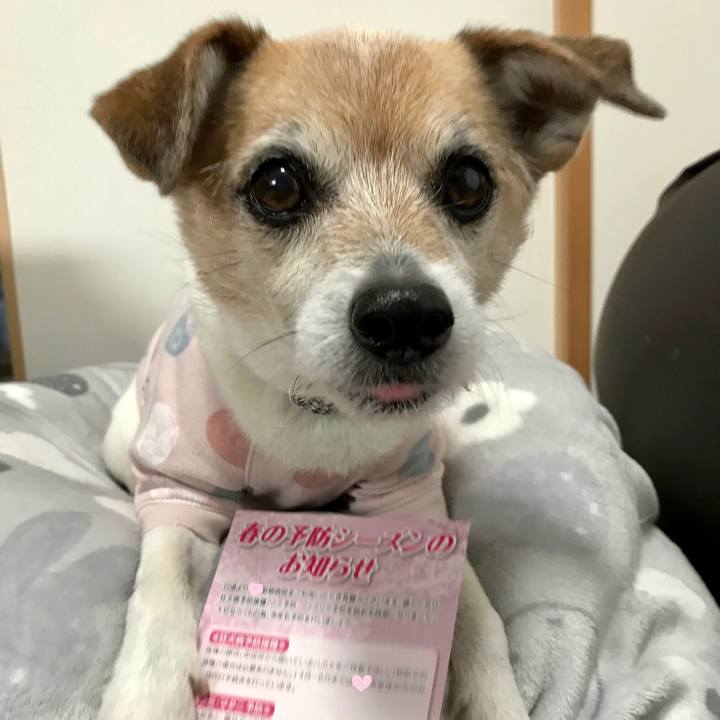 00eb1832 2cef 44ff 9e21 a286b05ffc62 1648284319821