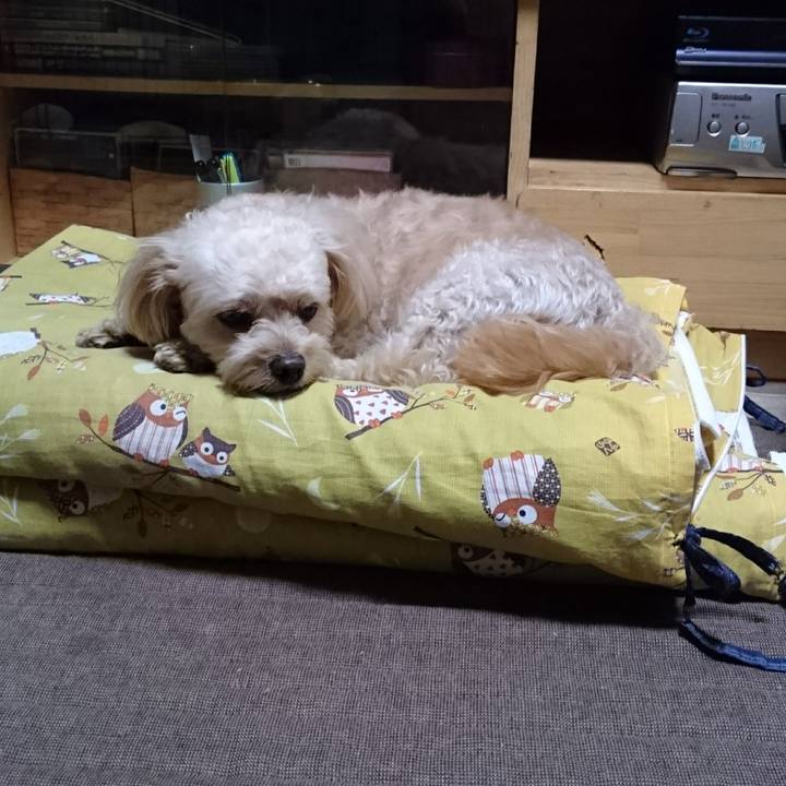 00eb3d04 98e4 4e4c 887e 7746d73322bb 1600866251465