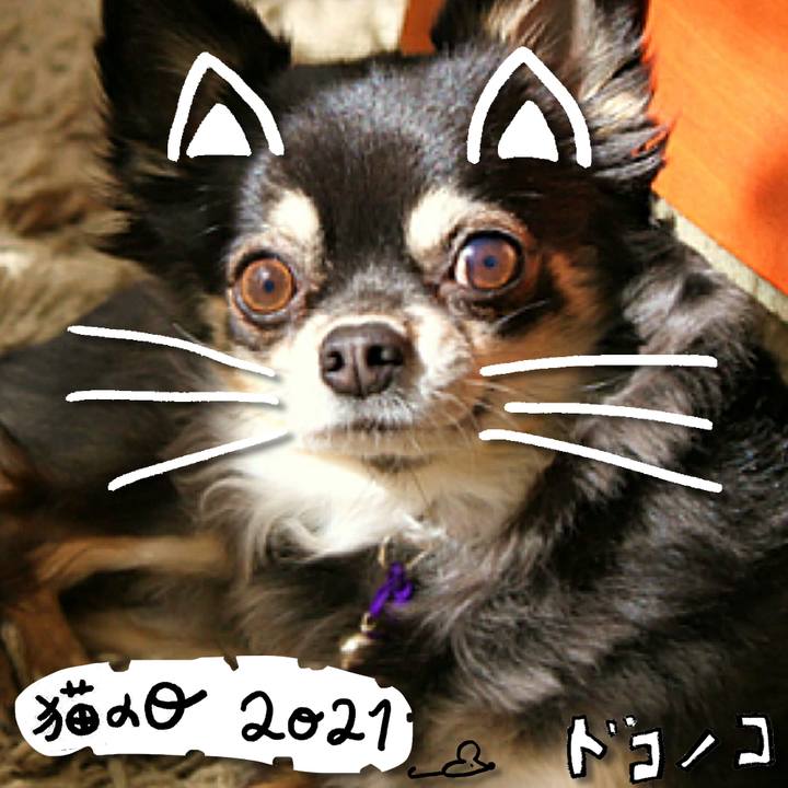 00ebe518 8816 4df5 90e7 1a9df5a118dc 1613961475427