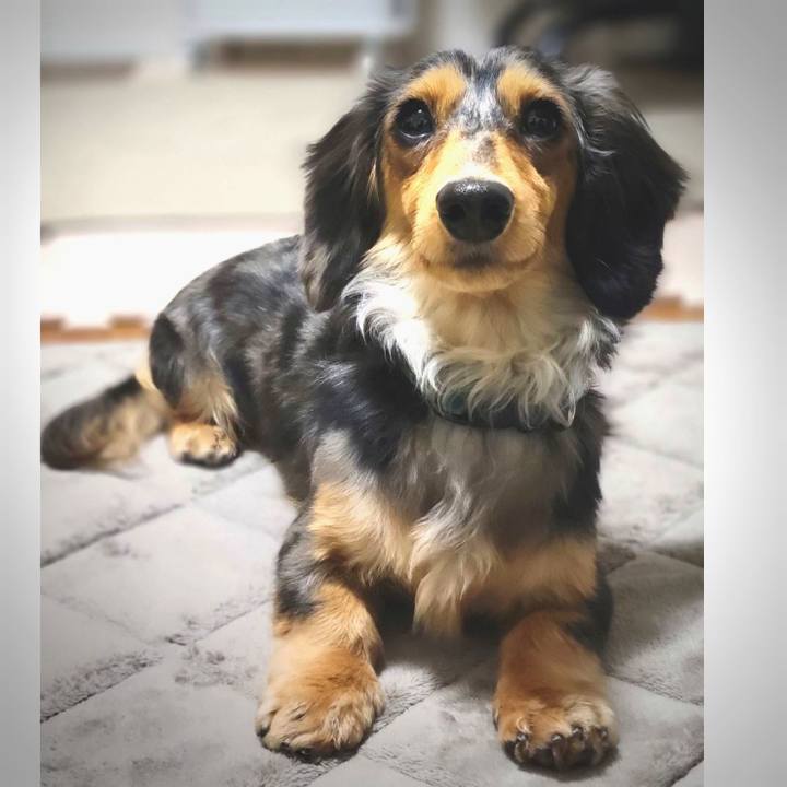 00ec01bb d041 425d 896f 9a9ff547631a 1741091651379