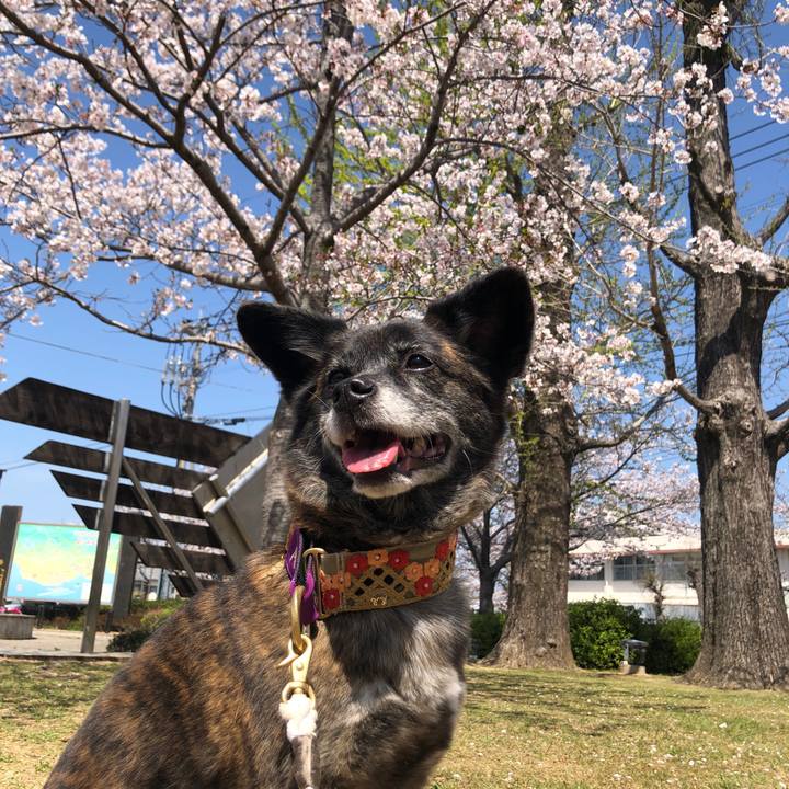 00ecc91d 48c1 4013 a825 b09d614057d5 1616761389684