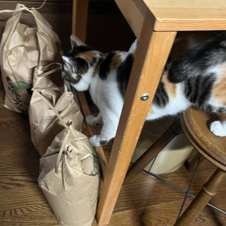 00ece289 6a37 4ac2 bcc0 f62abc3f2afe 1759103433487