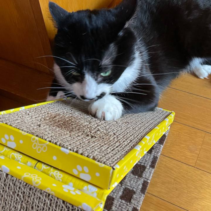 00ed3076 16e1 4d97 bd2f 6c7e907db572 1670635387905