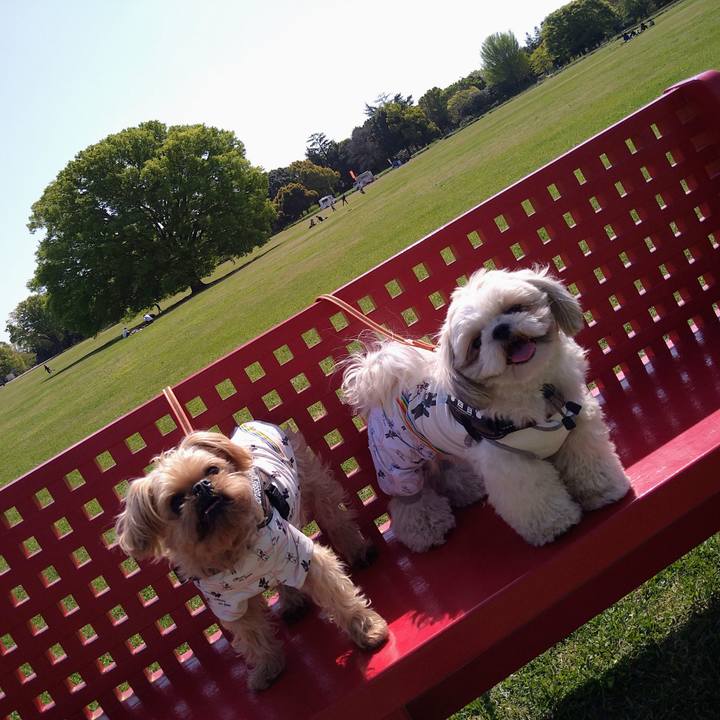 00ed3a5d e5e0 4250 8b27 7ceb5fcd61b7 1618123521937