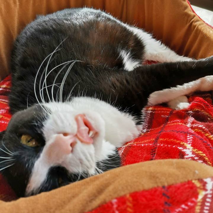 00ed7e59 37c6 4458 8acd 0f29a3c7aabd 1696566197533