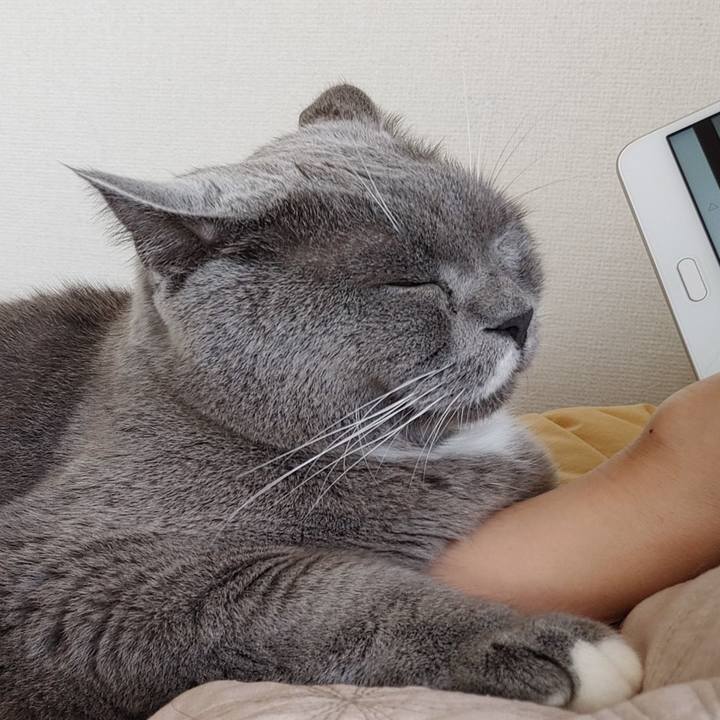 00ed9ac1 2330 4f5d 98c2 26bf8a1835c7 1632119099783