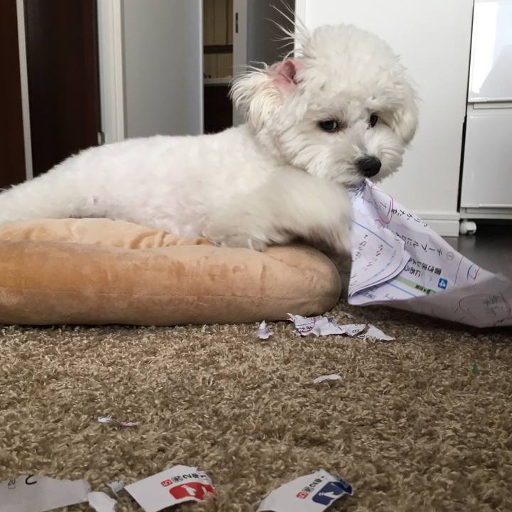 00edb851 e0c1 49c6 9b66 eac3ad4dda43 1511740665118