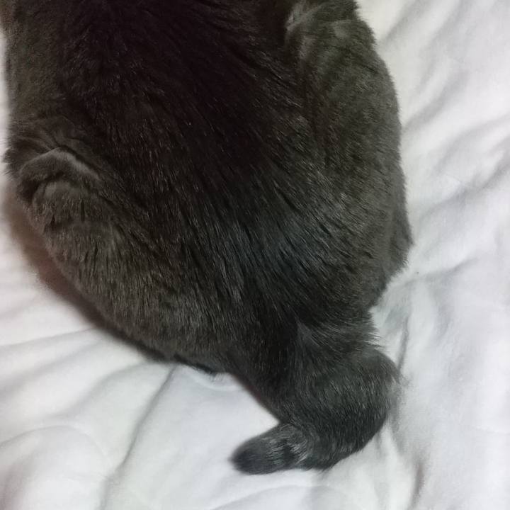 00edebba 2efd 42ef 9c77 ad84ff6653ae 1613986803519