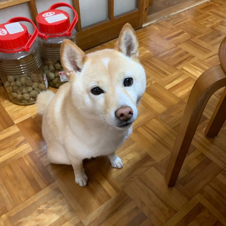 00ee291f f5c8 4cdf 975e d3cdab97f8ad 1652742507392