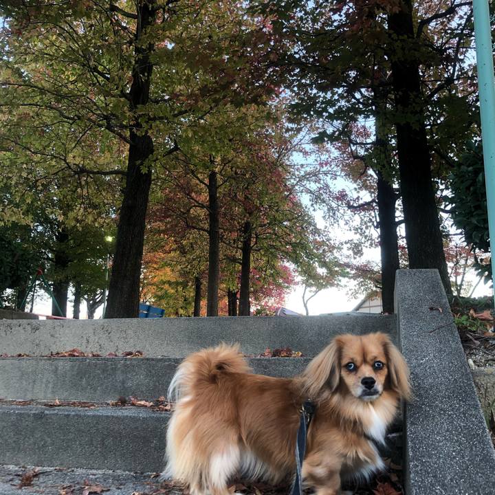 00eeb7c2 2e40 4e8c 9e32 f6ef89b4ec04 1540503851588