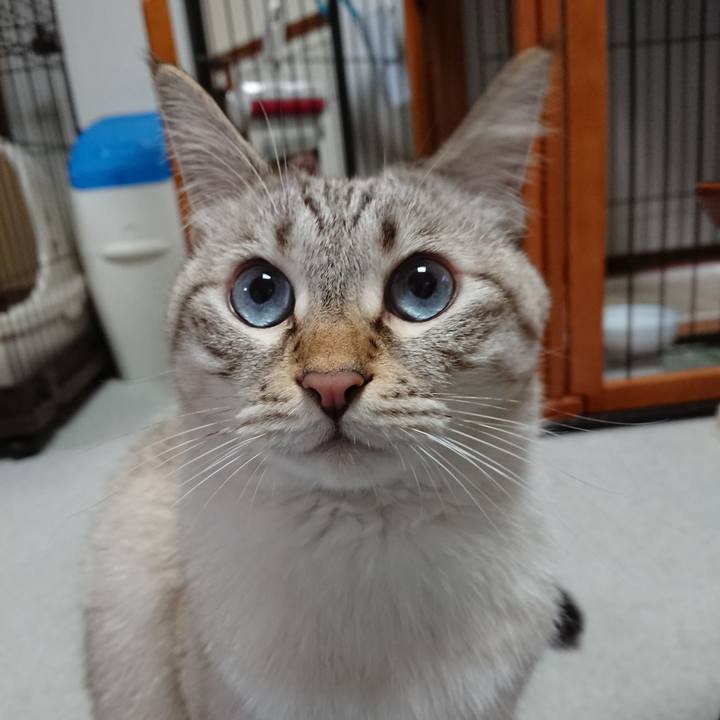 00ef10ad a509 4540 b805 dc8369e462df 1602931352881