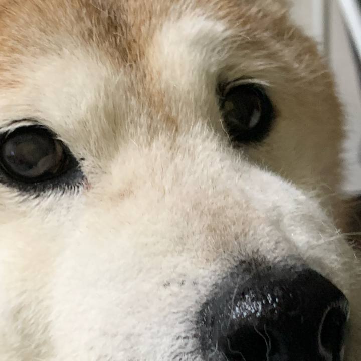 00ef318f 65a9 4239 818b 8a81aa390d80 1675950821921