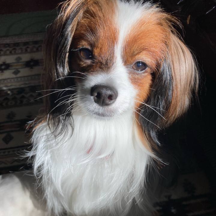 00ef3303 46fe 4534 8be0 71c5175d0f9c 1633410256940