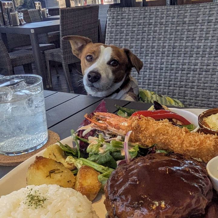 00ef5763 4b3f 465b a285 ac26e30b12dc 1769336442251