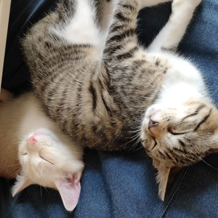 00ef6a2f 7740 45ec a3a3 87c6e04a82dc 1626409928286