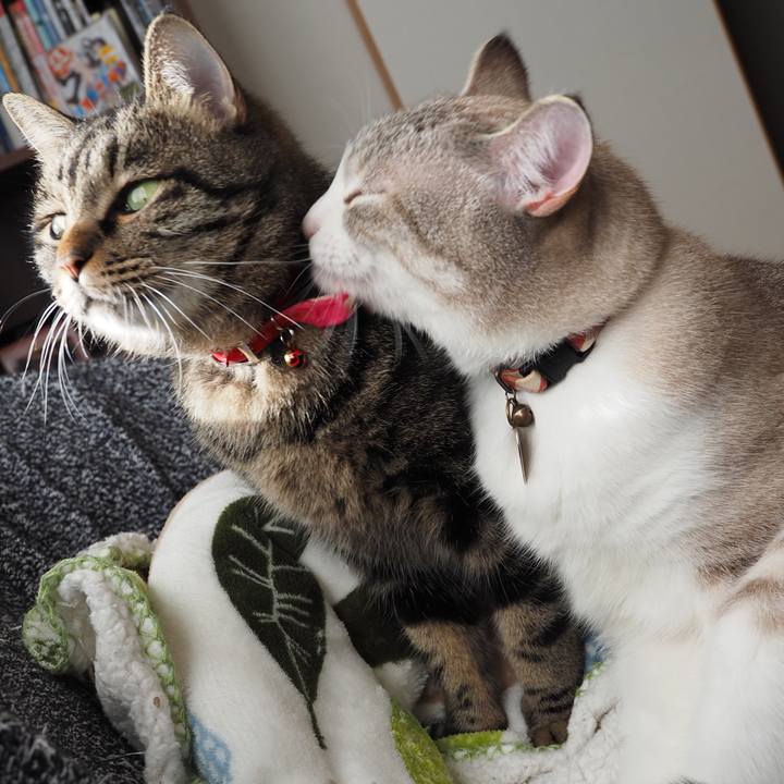 00efade5 4fc1 481d 9383 5a4842070401 1605741612321