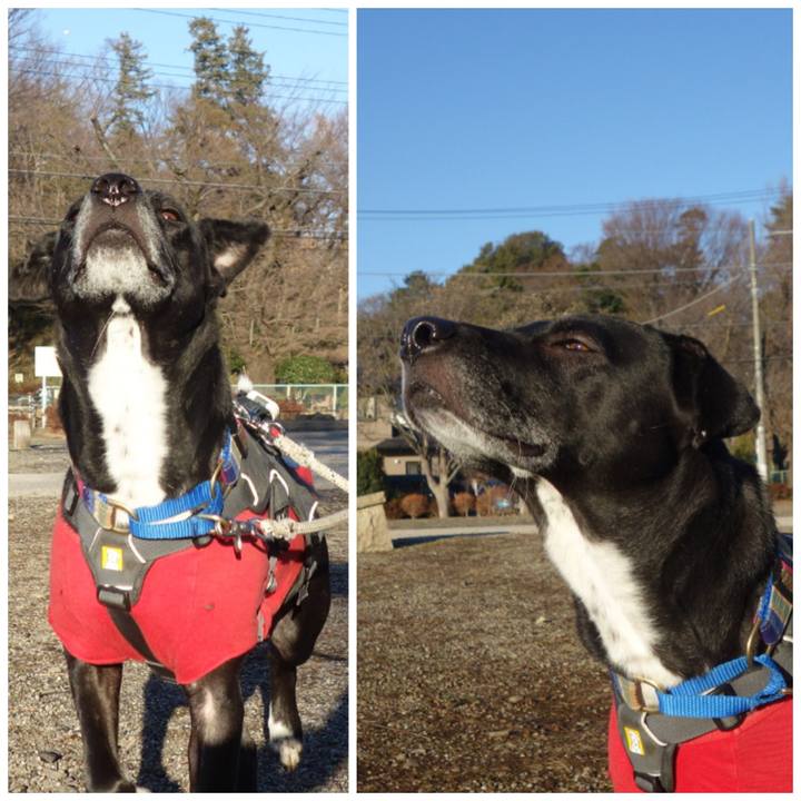 00efafcc 6454 43de 8093 31f8edf1a7b9 1641691719477