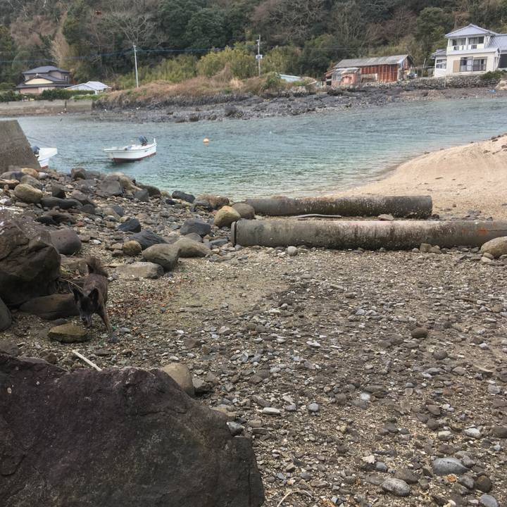 00f004a6 3acd 412d 84e4 42d76f9fdce8 1519813505916