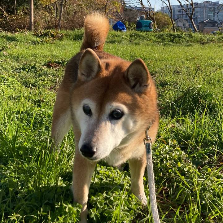 00f00a91 bcea 4fc5 8bb7 7607dda6d845 1733188130527