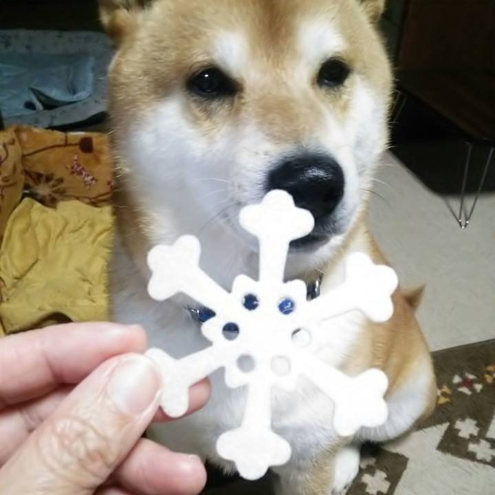 00f00ca8 054a 4d1e 901b d5d2d9bd201b 1557908477915