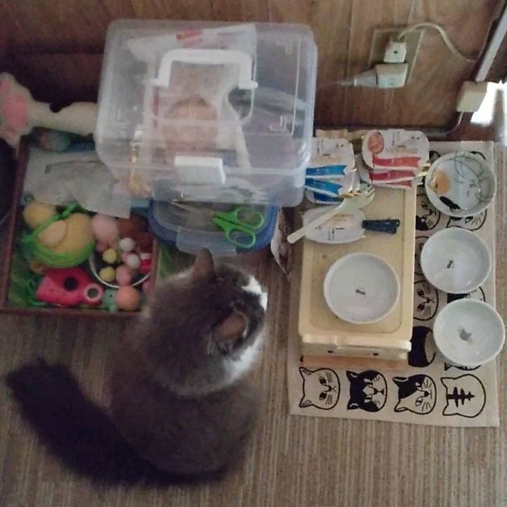 00f021d4 49c5 4de8 9885 3a30da3e97bb 1657791716864