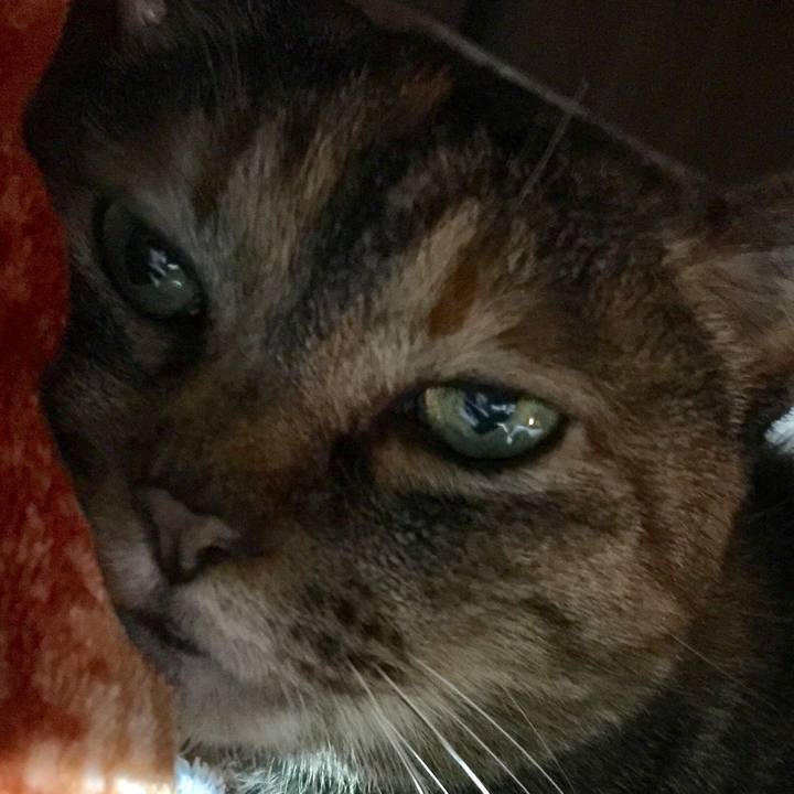 00f025e3 d5a2 4e12 8143 a05e80bdca52 1616761833451