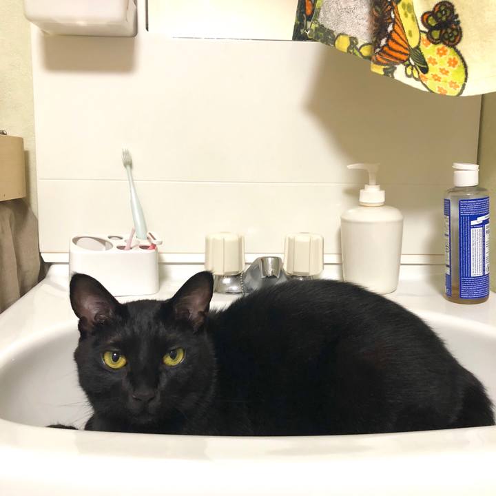 00f02855 6160 4b32 81bb 8d0775fdd8c4 1538923644608