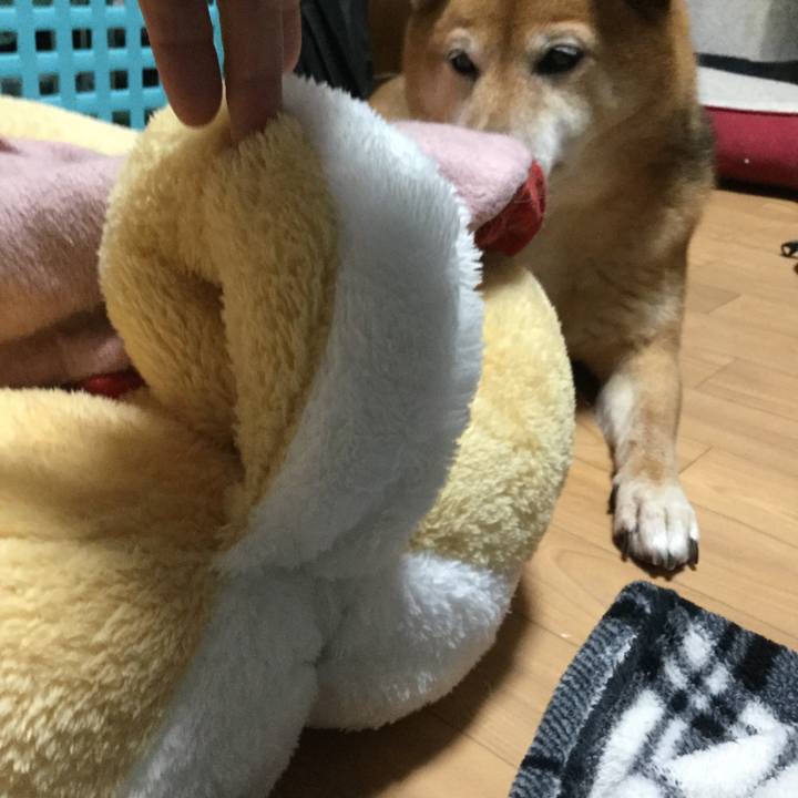 00f07c69 fe5a 4deb 853b 568c68b6f8b2 1574502170129